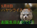 9月8日　お誕生日おめでとうございます。マクタンが　心込めておめでとうっていう動画です。(^▽^)/　＃運勢