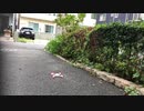 Hubsan x4 テストフライト