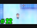 【飲酒実況】 Stardew Valley part22 【modあり】