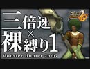 三倍速×裸縛りでモンハン2ndGクリアを目指す【MHP2G】 Part1