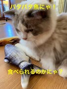 パタパタお魚