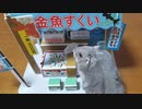 金魚すくい始めました。 I started scooping goldfish.  #74【ハムスター物語】