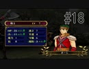 【実況】守るべき者のためFEをあじわう Part18【ファイアーエムブレム 蒼炎の軌跡】第8章 絶望そして希望②
