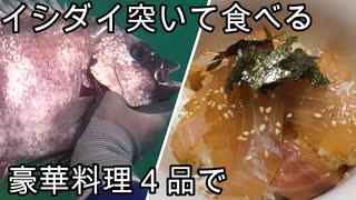 【ぴ】魚突きで優勝する動画。０円食材で絶品料理からの豪遊！石鯛のお寿司