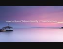 How to Burn Spotify Playlist to CD