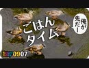 0907【カルガモ親子の餌奪い合いがかわいい】ハトが脚を滑らせる。スズメの大群。ヒガンバナの成長【今日撮り野鳥動画まとめ】身近な生き物語