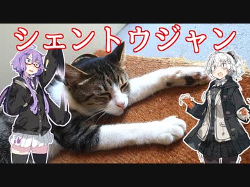 あかりとゆかりの食べ盛りPart4「ぬこと食べる鹹豆漿（シェントウジャン）」