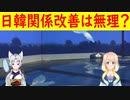 「首相になる前から挑発的な態度だ」韓国さんが菅さんが首相になったら日韓関係の改善は無理だと嘆く？【世界の〇〇にゅーす】