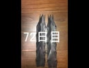 黒折り紙で千羽鶴を作っていく　72日目