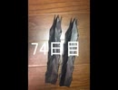 黒折り紙で千羽鶴を作っていく　74日目