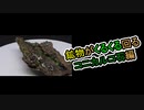 【鉱物】コニカルコ石がくるくる回る BGM修正ver【石】