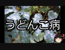 【ゆっくり朗読】ゆっくりさんと不思議な病気 その229