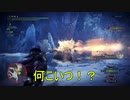 【MHWI】激昂したラージャンに知識ゼロで挑む無謀な2人！【モンスターハンター　ワールド　アイスボーン】