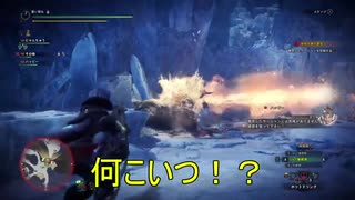 【MHWI】激昂したラージャンに知識ゼロで挑む無謀な2人！【モンスターハンター　ワールド　アイスボーン】