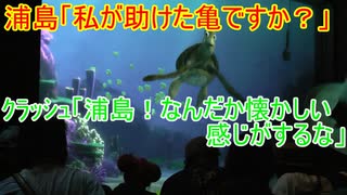 【助けた亀に連れられて？】浦島！なんだか懐かしい感じがするな 【タートルトーク】東京ディズニーシー