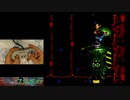 スーパードンキーコング3　カオス戦手元