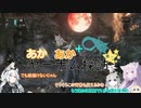 あか×あか+αヤーナム探訪　その7-2
