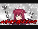 ロアちゃん山爆破します