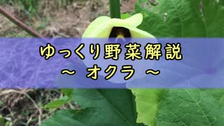 ゆっくり野菜解説 part2 オクラ