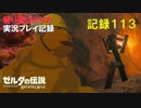 【寄り道ばかりの】ゼルダの伝説BotW【実況プレイ記録113】滞空・欲望・突刺