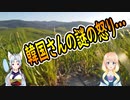【韓国の反応】日本が韓国を攻撃している？韓国が進める素・部・装の国産化に立ちはだかる日本の特許技術・・・【世界の〇〇にゅーす】