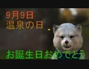 9月9日　お誕生日おめでとうございます。マクタンが　心込めておめでとうっていう動画です。(^▽^)/　＃運勢