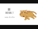 猫/DISH// 歌ってみったん