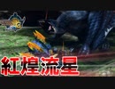 G級ナルガをハンマーでボコりに行くも当たらない【MH3G.HDver】