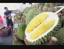 ドリアン輸送船が転覆。海上に漂うドリアンを 住民が略奪し360人以上が食中毒に　他1本