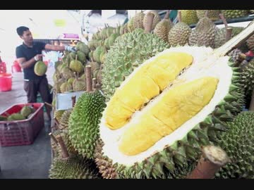 ドリアン輸送船が転覆。海上に漂うドリアンを 住民が略奪し360人以上が食中毒に　他1本