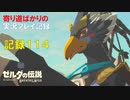 【寄り道ばかりの】ゼルダの伝説BotW【実況プレイ記録114】リトの村にて