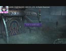 【Part34】FF10HDゆっくりよりゆっくりデア・リヒター討伐を目指す【実況】