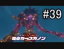 世界を冒険するべく「ゼルダの伝説 ブレスオブザワイルド」実況　part39