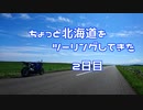 【ギャラ子車載】ちょっと北海道をツーリングしてきた　2日目【YZF-R6】