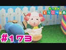 【実況】ちゃちゃまるが何の漫画を読んでるのか気になる #173【あつまれどうぶつの森】