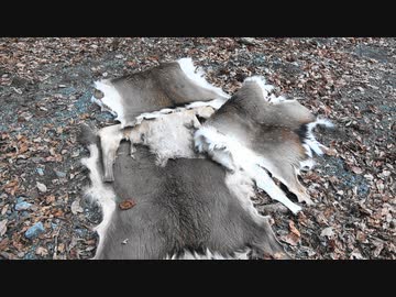 令和最初の狩猟生活（その１３６）