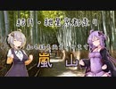 【ボイロ車載】結月・紲星の京都走り【嵐山】