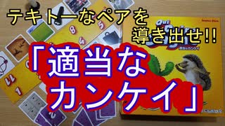 【適当なカンケイ】簡単かつ盛り上がれる超おすすめボードゲーム！【ボドゲ】