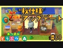 秋仕様アップデート！まつぼっくり見つからない事件発生【あつまれどうぶつの森】#30