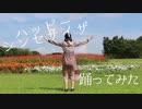 【ちゃんり】ハッピーシンセサイザ【踊ってみた】