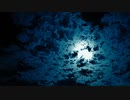 【歌ってみた】 EVIL - Dimension Space