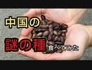 【削除覚悟】中国の謎の種を食べたら大変な味が…