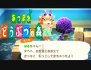 【あつまれどうぶつの森】弱肉強食の世界で生きていく【実況】Part12