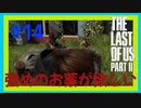 【実況】ハードモードで生き抜くThe Last of Us Part II　#14【ラスアス２】