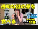 ミンゴスが透明な野菜（クロマキーによるもの）を食べながらトーク【第119回オマケ放送】