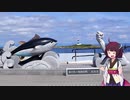 【VOICEROID車載】きりたんの皮を被って旅をする『東北一周編』