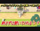 あつまれどうぶつの森　ハチにパイプオルガンを弾いてあげたら！？刺さずに聞いてくれる？　【あつ森】