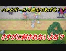 あつまれどうぶつの森　ハチとボールで遊んであげる！？　【あつ森】