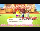 【あつ森】前人未島へようこそ！#136【あつまれどうぶつの森】