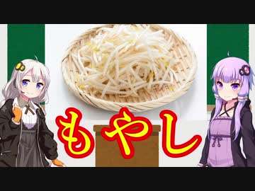 もやし解説【VOICEROID】